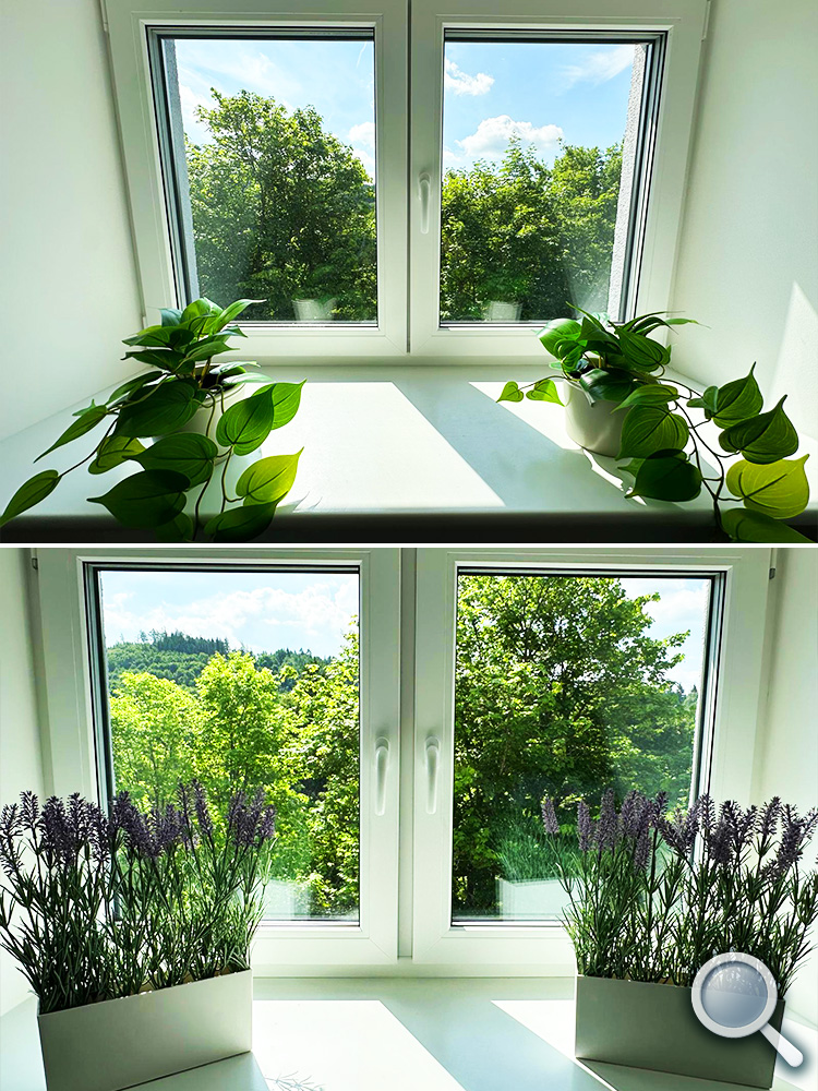 Fensterblick mit Pflanzen in der hellen Wohnung