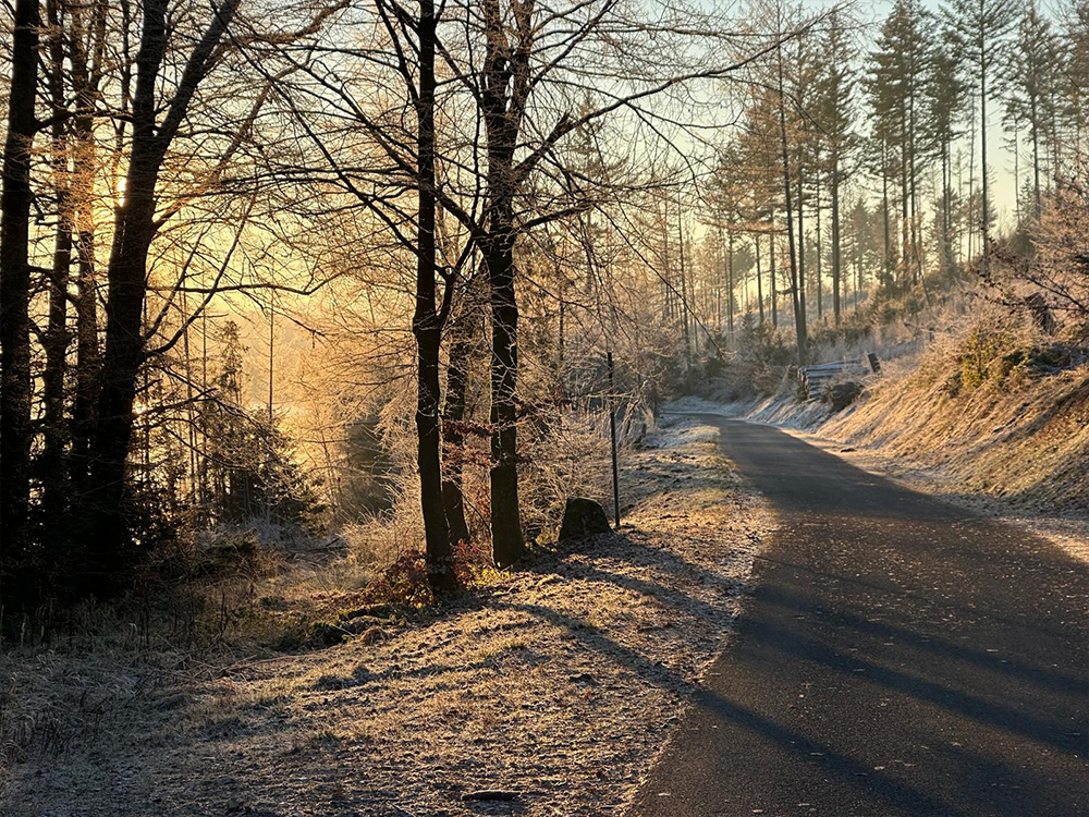 Sonniger Waldweg bei Hilchenbach-Allenbach