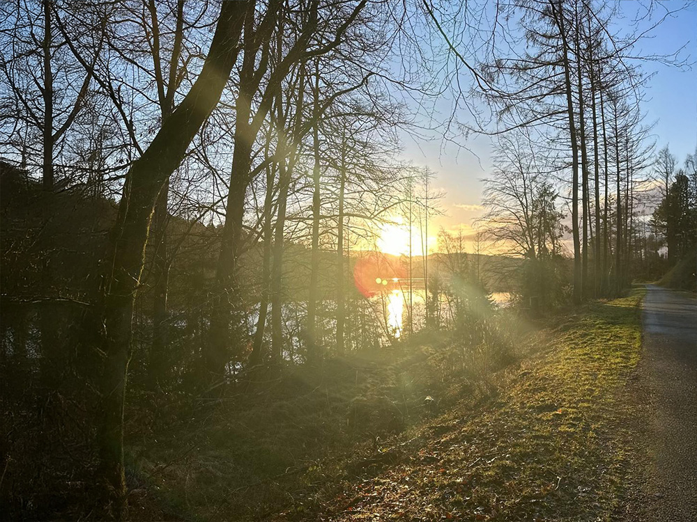 Wanderweg im Wald mit tief stehender Sonne