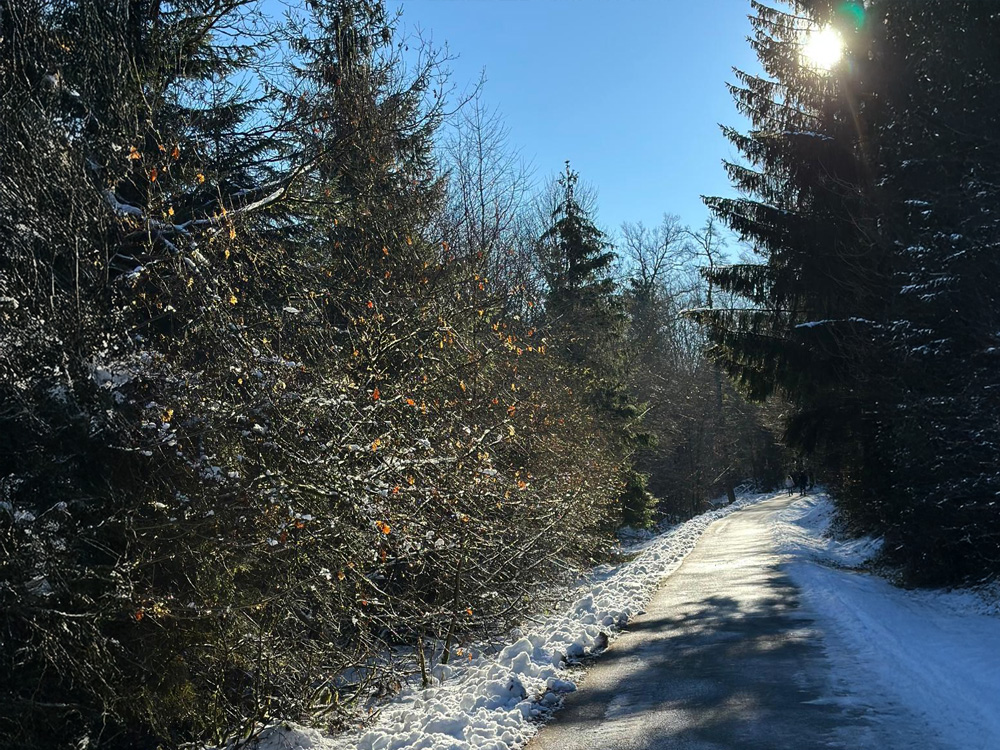 Winterlicher Wanderweg bei Hilchenbach