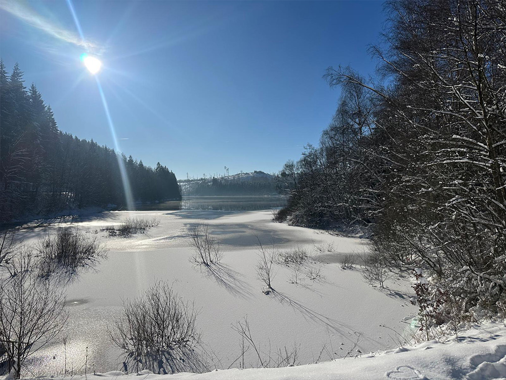 Verschneiter Garten und Wald im Siegerland