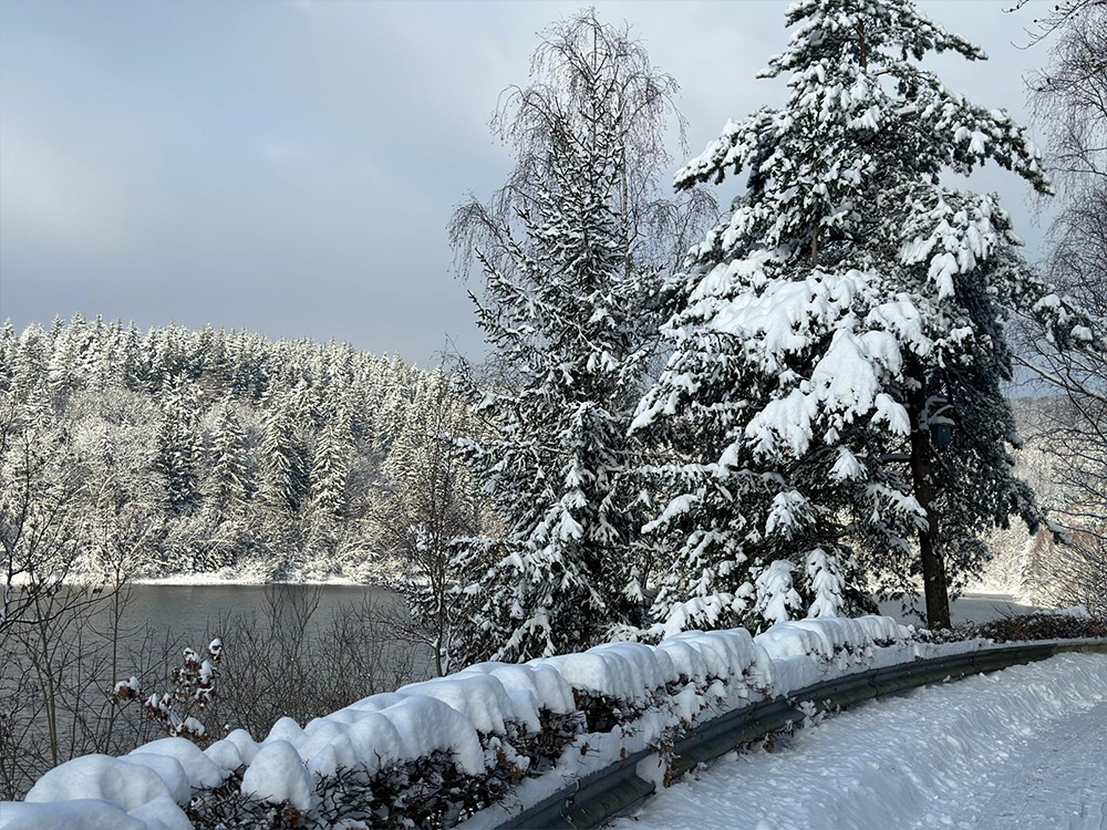 Sommerlicher Blick auf die Breitenbachtalsperre